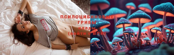 дурь Лабытнанги