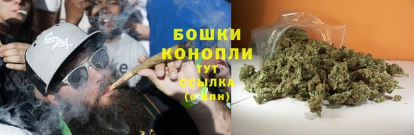 дурь Лабытнанги