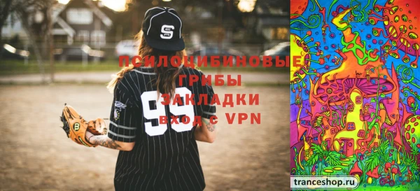 дурь Лабытнанги