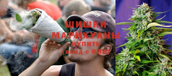 дурь Лабытнанги