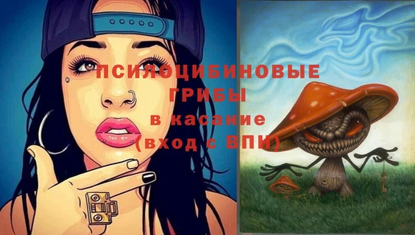 дурь Лабытнанги