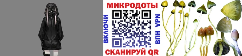 Галлюциногенные грибы Cubensis Купить Новая Ляля
